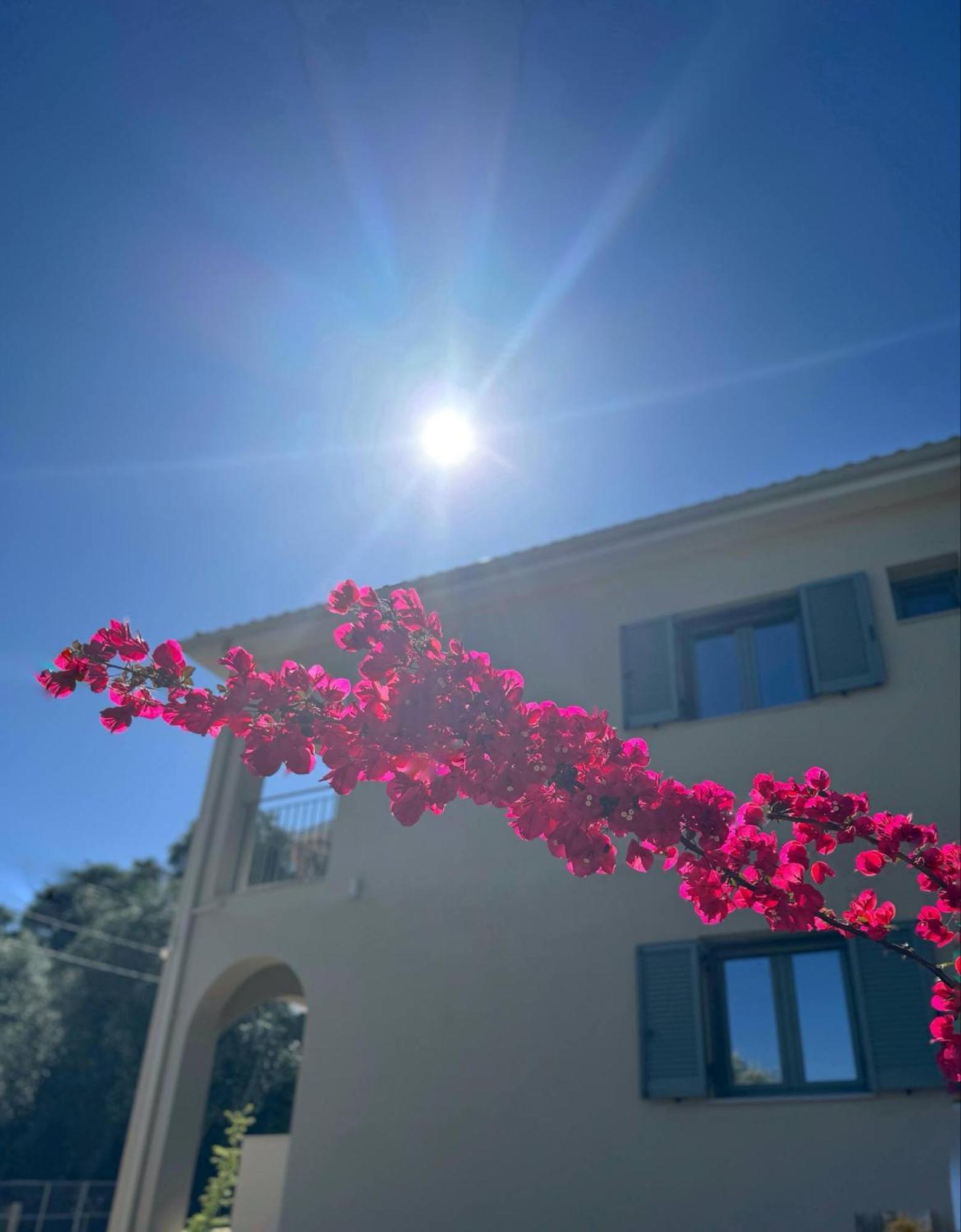 Olea Luxury Apartments Parga Exterior foto