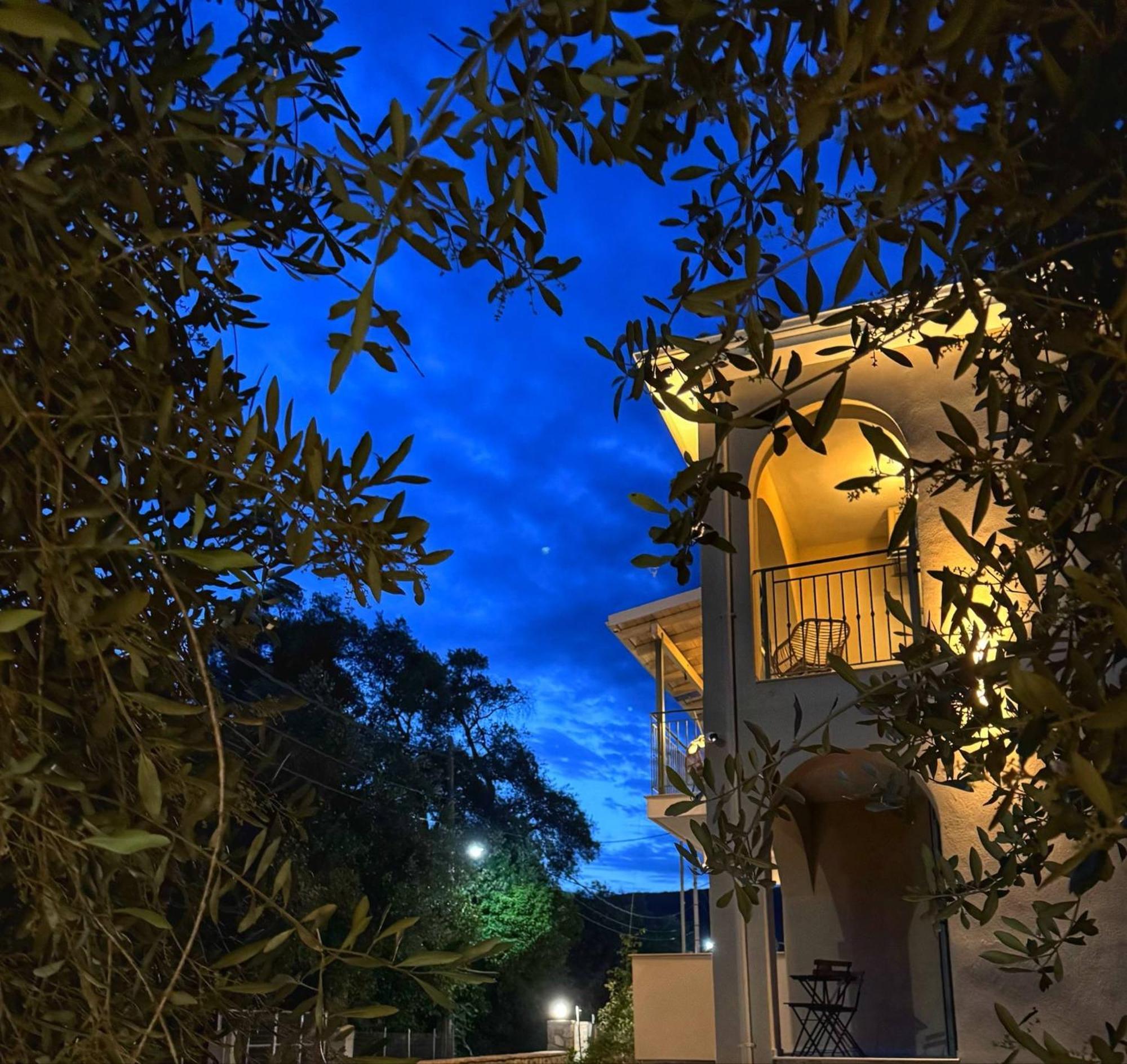 Olea Luxury Apartments Parga Exterior foto